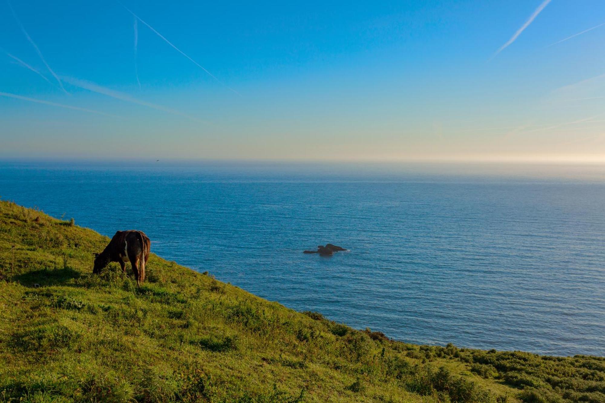 La Colina Otel Gijón Dış mekan fotoğraf